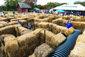 maze made out of hay bales